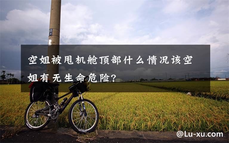 空姐被甩機(jī)艙頂部什么情況該空姐有無(wú)生命危險(xiǎn)?