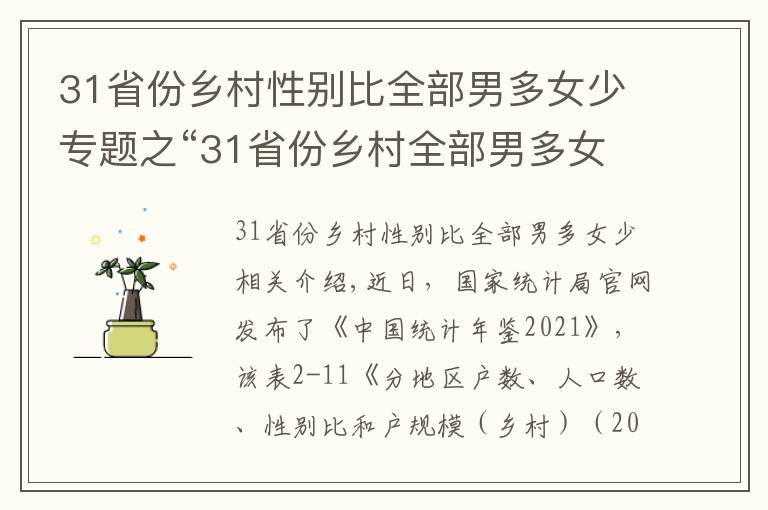 31省份鄉(xiāng)村性別比全部男多女少專題之“31省份鄉(xiāng)村全部男多女少”值得警惕