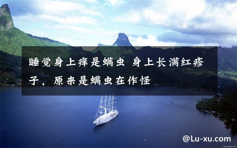 睡覺(jué)身上癢是螨蟲(chóng) 身上長(zhǎng)滿(mǎn)紅疹子，原來(lái)是螨蟲(chóng)在作怪