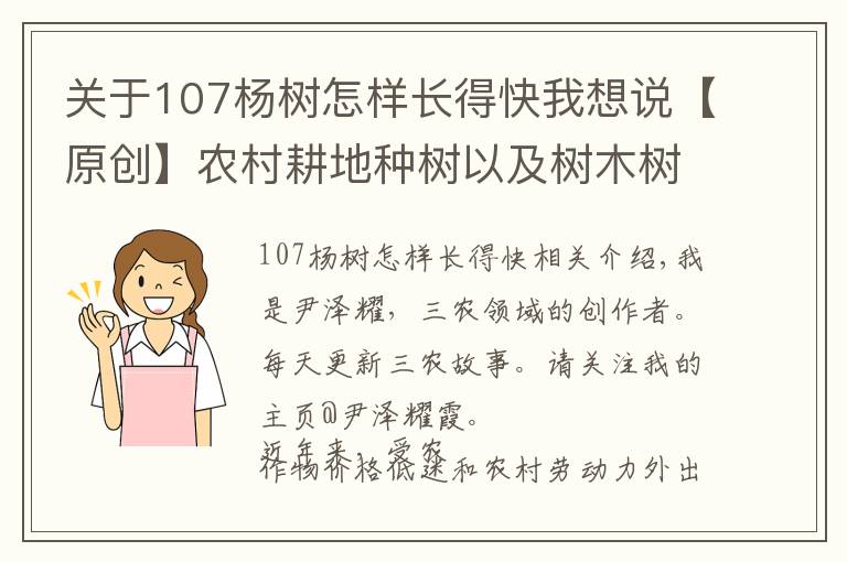 關(guān)于107楊樹怎樣長得快我想說【原創(chuàng)】農(nóng)村耕地種樹以及樹木樹蔭遮擋莊稼問題探究