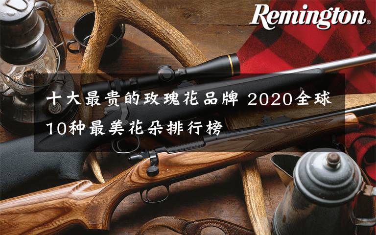 十大最貴的玫瑰花品牌 2020全球10種最美花朵排行榜