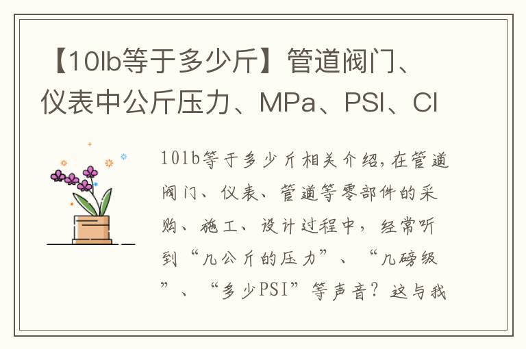 【10lb等于多少斤】管道閥門、儀表中公斤壓力、MPa、PSI、Class轉(zhuǎn)換關(guān)系