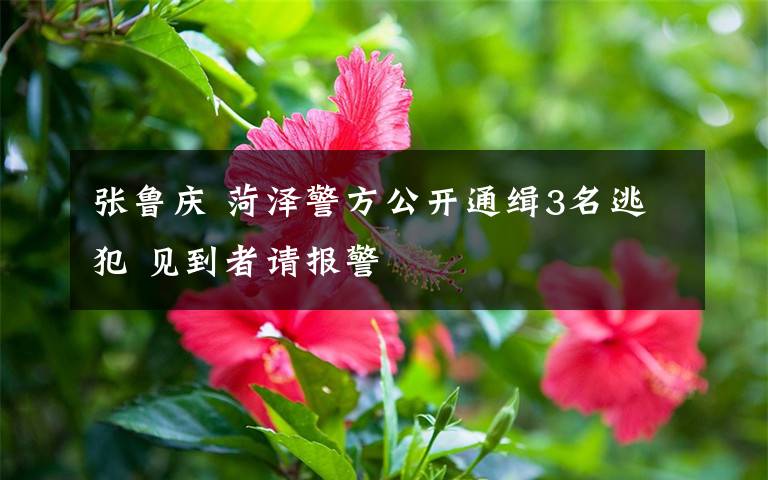 張魯慶 菏澤警方公開(kāi)通緝3名逃犯 見(jiàn)到者請(qǐng)報(bào)警