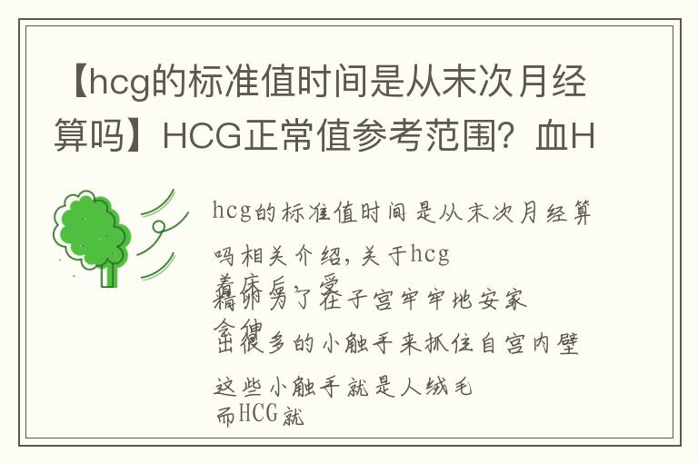 【hcg的標(biāo)準(zhǔn)值時(shí)間是從末次月經(jīng)算嗎】HCG正常值參考范圍？血HCG與尿HCG有什么不同呢？