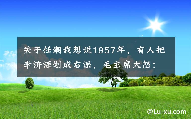 關于任潮我想說1957年，有人把李濟深劃成右派，毛主席大怒：我就認他，他不能動