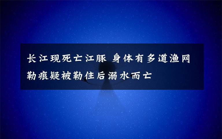 長(zhǎng)江現(xiàn)死亡江豚 身體有多道漁網(wǎng)勒痕疑被勒住后溺水而亡