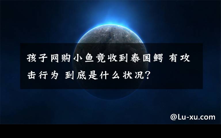 孩子網(wǎng)購小魚竟收到泰國鱷 有攻擊行為 到底是什么狀況？