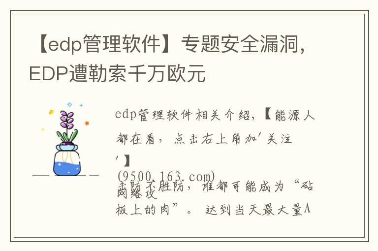 【edp管理軟件】專題安全漏洞，EDP遭勒索千萬歐元