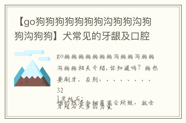 【go狗狗狗狗狗狗狗溝狗狗溝狗狗溝狗狗】犬常見的牙齦及口腔問題