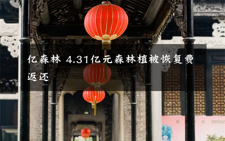 億森林 4.31億元森林植被恢復(fù)費(fèi)返還