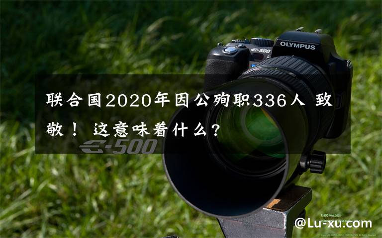 聯(lián)合國2020年因公殉職336人 致敬！ 這意味著什么?