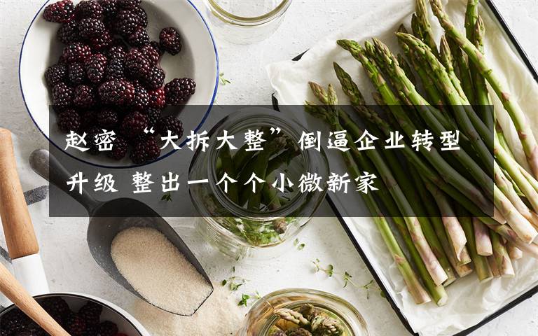 趙密 “大拆大整”倒逼企業(yè)轉型升級 整出一個個小微新家