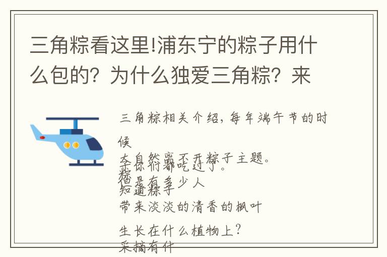 三角粽看這里!浦東寧的粽子用什么包的？為什么獨(dú)愛(ài)三角粽？來(lái)聽(tīng)民俗專家怎么說(shuō)