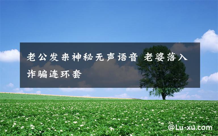 老公發(fā)來(lái)神秘?zé)o聲語(yǔ)音 老婆落入詐騙連環(huán)套