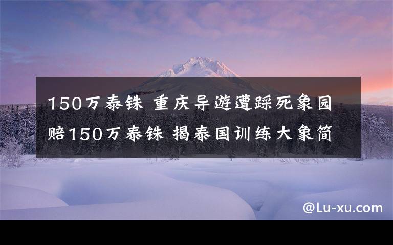 150萬泰銖 重慶導游遭踩死象園賠150萬泰銖 揭泰國訓練大象簡直殘忍至極