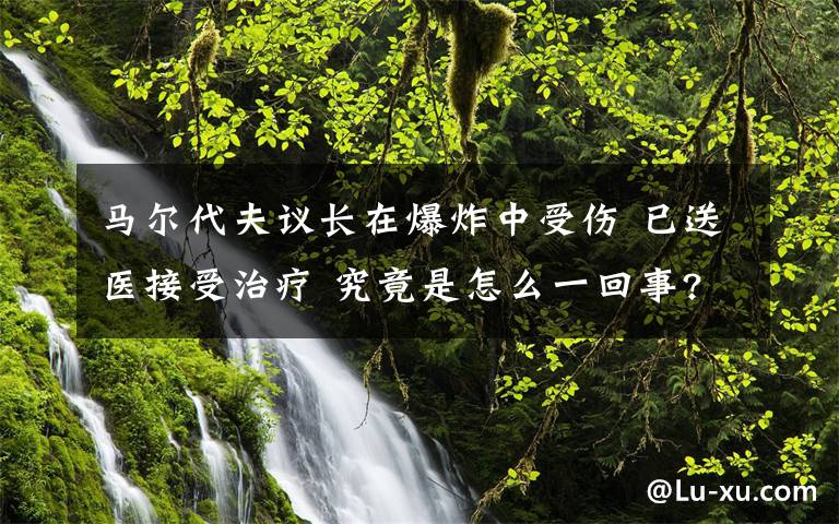 馬爾代夫議長在爆炸中受傷 已送醫(yī)接受治療 究竟是怎么一回事?