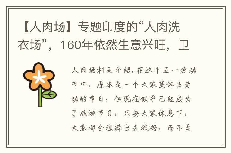 【人肉場(chǎng)】專題印度的“人肉洗衣場(chǎng)”，160年依然生意興旺，衛(wèi)生狀況卻慘不忍睹