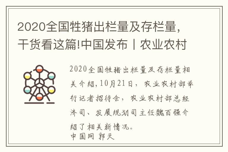 2020全國牲豬出欄量及存欄量，干貨看這篇!中國發(fā)布丨農(nóng)業(yè)農(nóng)村部：截至9月底全國生豬存欄達(dá)3.7億頭