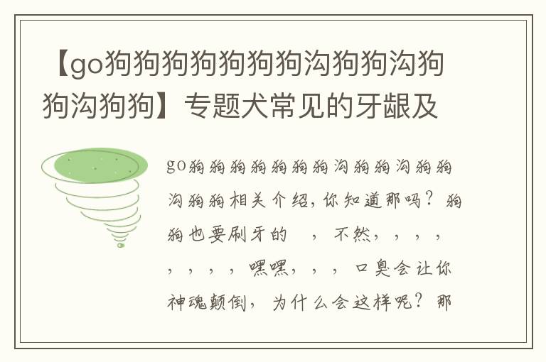 【go狗狗狗狗狗狗狗溝狗狗溝狗狗溝狗狗】專題犬常見的牙齦及口腔問題
