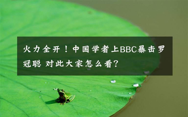 火力全開(kāi)！中國(guó)學(xué)者上BBC暴擊羅冠聰 對(duì)此大家怎么看？