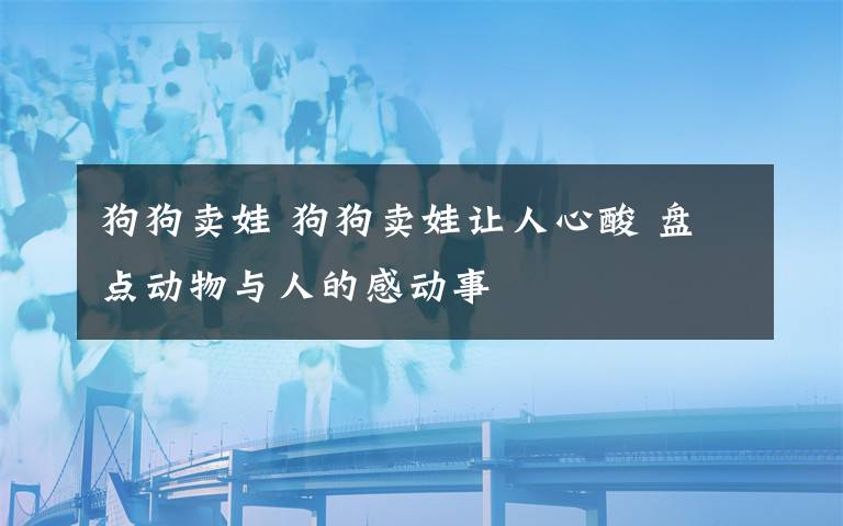 狗狗賣娃 狗狗賣娃讓人心酸 盤點動物與人的感動事