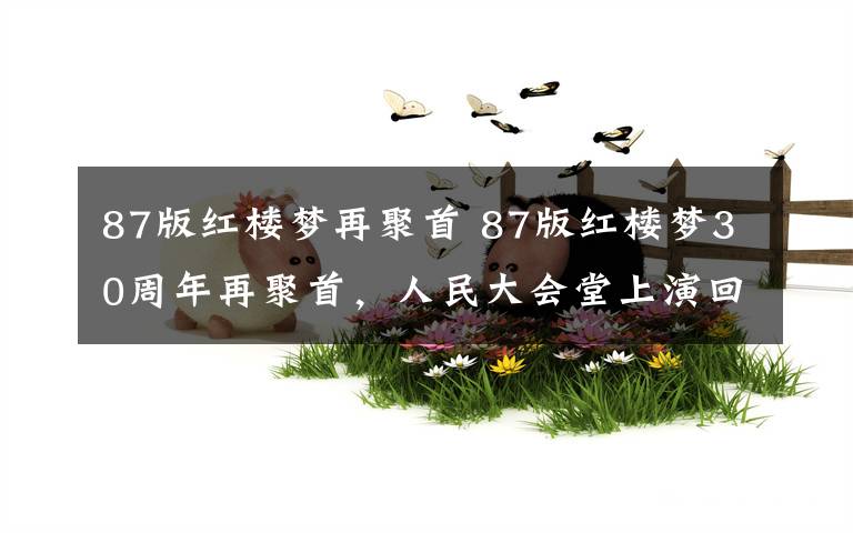 87版紅樓夢再聚首 87版紅樓夢30周年再聚首，人民大會堂上演回憶殺，觀眾哭了