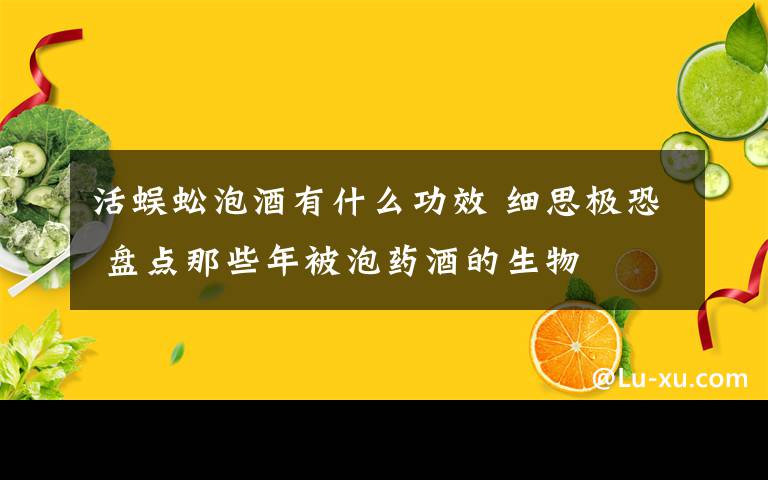 活蜈蚣泡酒有什么功效 細(xì)思極恐 盤點(diǎn)那些年被泡藥酒的生物