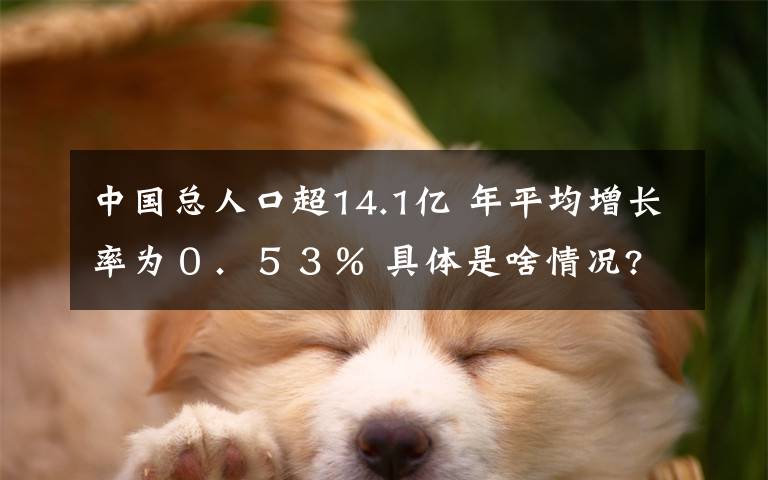 中國總人口超14.1億 年平均增長率為０．５３％ 具體是啥情況?