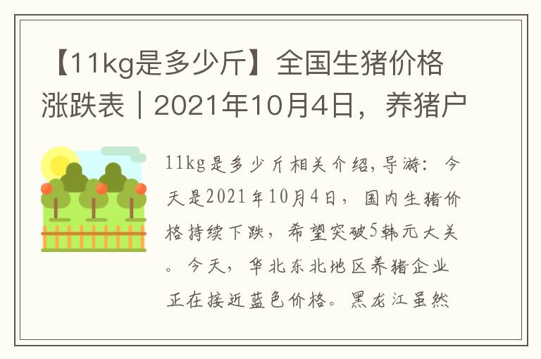 【11kg是多少斤】全國生豬價格漲跌表｜2021年10月4日，養(yǎng)豬戶已經(jīng)“無力回天”