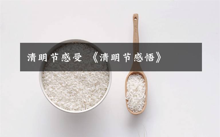 清明節(jié)感受 《清明節(jié)感悟》