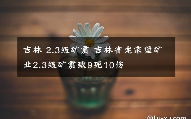 吉林 2.3級礦震 吉林省龍家堡礦業(yè)2.3級礦震致9死10傷