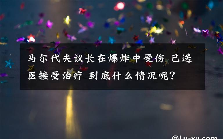 馬爾代夫議長在爆炸中受傷 已送醫(yī)接受治療 到底什么情況呢？