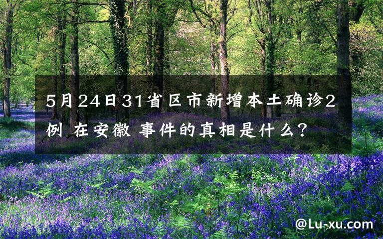 5月24日31省區(qū)市新增本土確診2例 在安徽 事件的真相是什么？