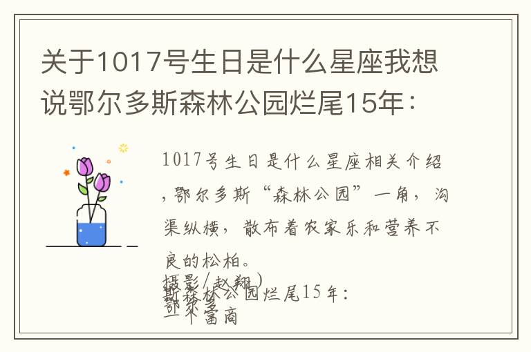 關(guān)于1017號生日是什么星座我想說鄂爾多斯森林公園爛尾15年：一個富商的土地生意