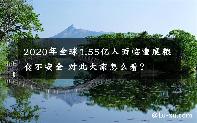 2020年全球1.55億人面臨重度糧食不安全 對(duì)此大家怎么看？