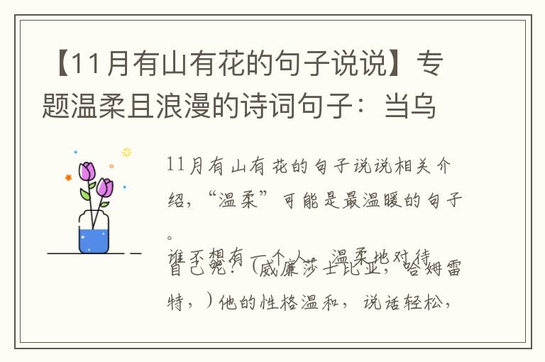 【11月有山有花的句子說說】專題溫柔且浪漫的詩詞句子：當烏云散去，自有漫天繁星