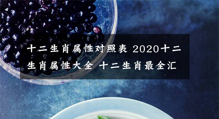 十二生肖屬性對照表 2020十二生肖屬性大全 十二生肖最全匯總