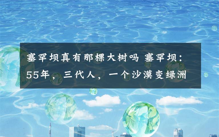 塞罕壩真有那棵大樹嗎 塞罕壩：55年，三代人，一個(gè)沙漠變綠洲的奇跡