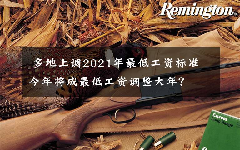  多地上調(diào)2021年最低工資標(biāo)準(zhǔn) 今年將成最低工資調(diào)整大年？