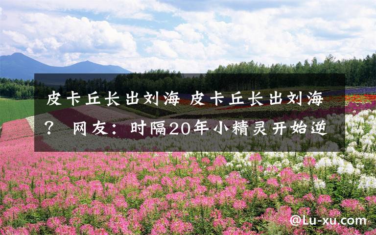 皮卡丘長出劉海 皮卡丘長出劉海？ 網(wǎng)友：時(shí)隔20年小精靈開始逆生長？