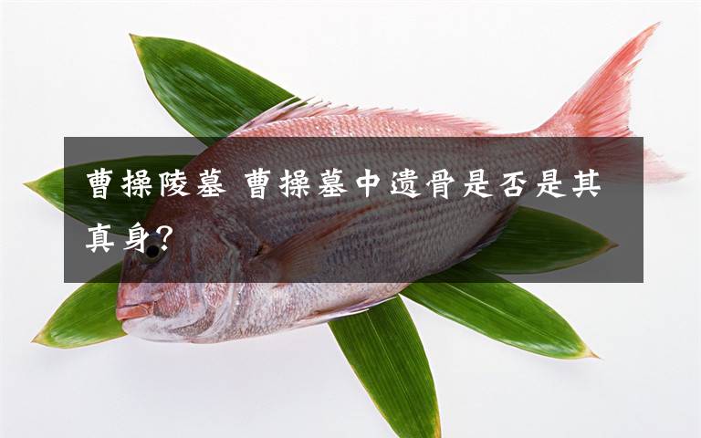 曹操陵墓 曹操墓中遺骨是否是其真身？