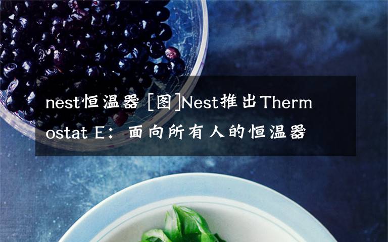 nest恒溫器 [圖]Nest推出Thermostat E：面向所有人的恒溫器