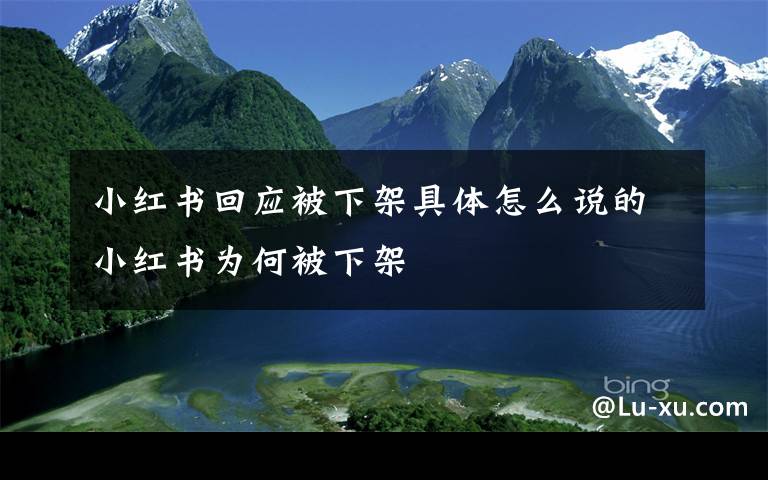 小紅書(shū)回應(yīng)被下架具體怎么說(shuō)的小紅書(shū)為何被下架