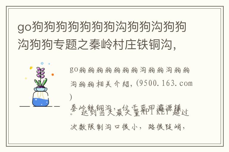 go狗狗狗狗狗狗狗溝狗狗溝狗狗溝狗狗專題之秦嶺村莊鐵銅溝，人很少，只見到一條狗、兩只貓和一群肥肥的土雞