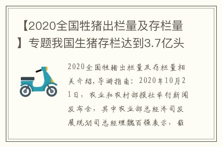 【2020全國牲豬出欄量及存欄量】專題我國生豬存欄達(dá)到3.7億頭，豬價全線跌破15元，養(yǎng)豬戶要慌了