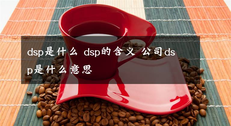 dsp是什么 dsp的含義 公司dsp是什么意思