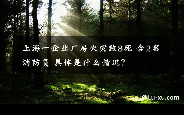 上海一企業(yè)廠房火災(zāi)致8死 含2名消防員 具體是什么情況？