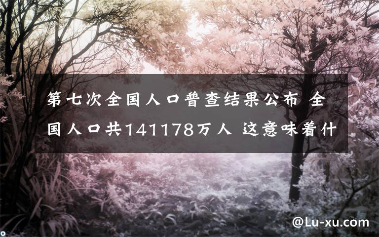 第七次全國人口普查結(jié)果公布 全國人口共141178萬人 這意味著什么?