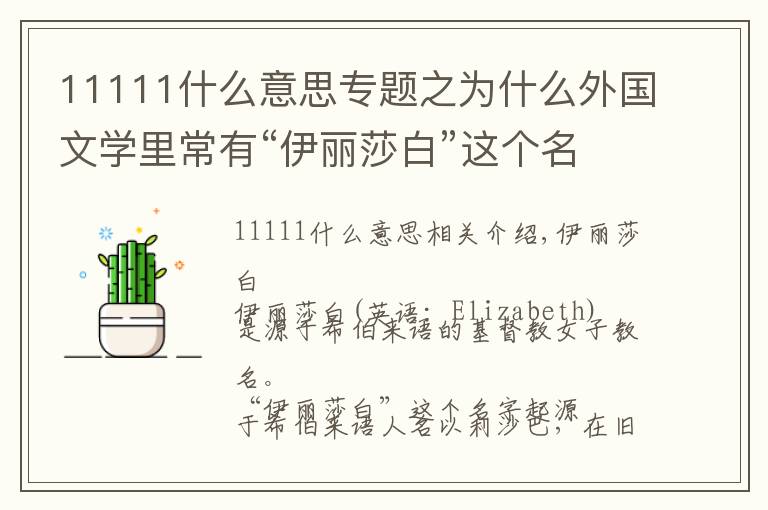 11111什么意思專題之為什么外國文學(xué)里常有“伊麗莎白”這個(gè)名字？伊麗莎白含義是什么