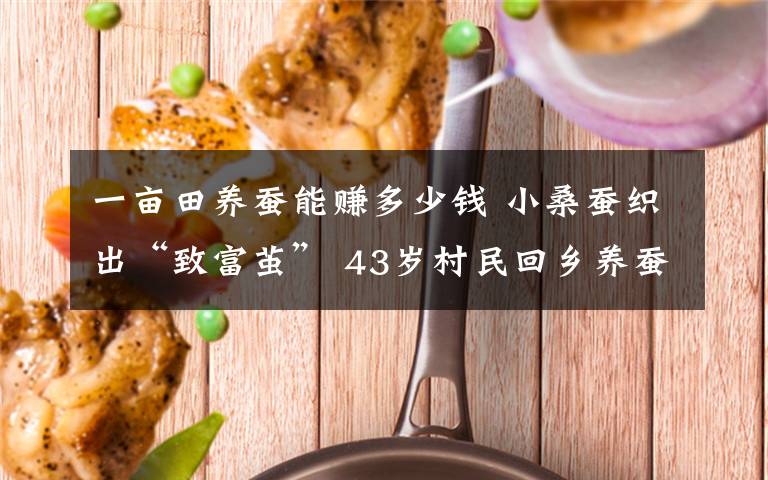 一畝田養(yǎng)蠶能賺多少錢 小桑蠶織出“致富繭” 43歲村民回鄉(xiāng)養(yǎng)蠶年入10萬(wàn)